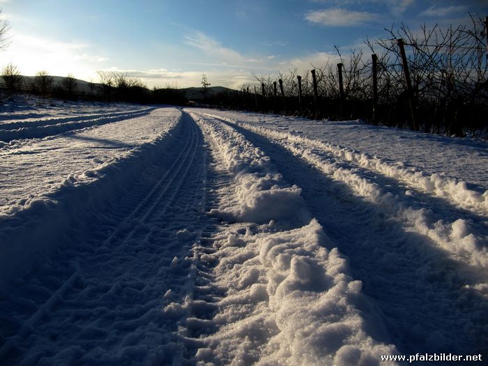 Wingert Schnee Friedelsheim~004