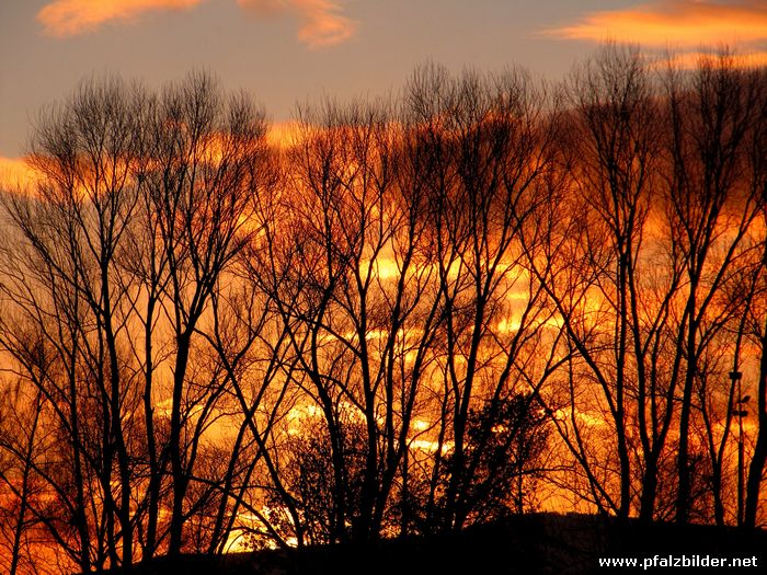 Sonnenuntergang Roedersheim~001