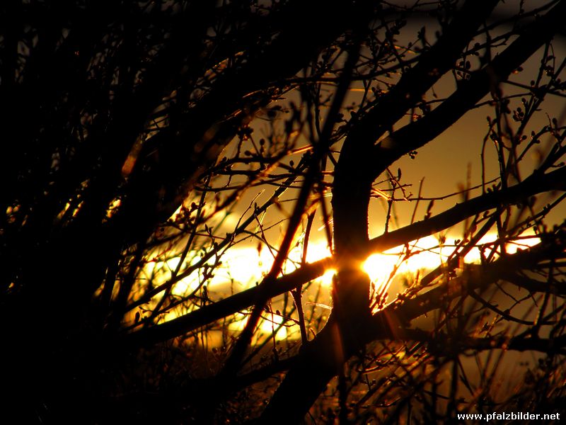 Sonnenuntergang~003