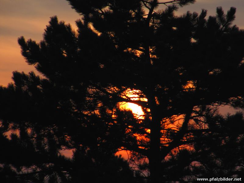 Sonnenuntergang~003