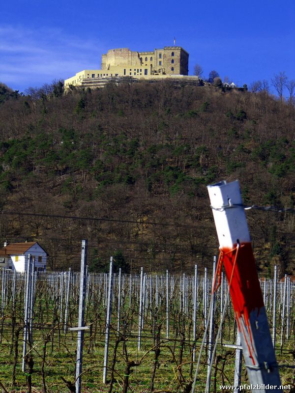 Hambacher Schloss~002