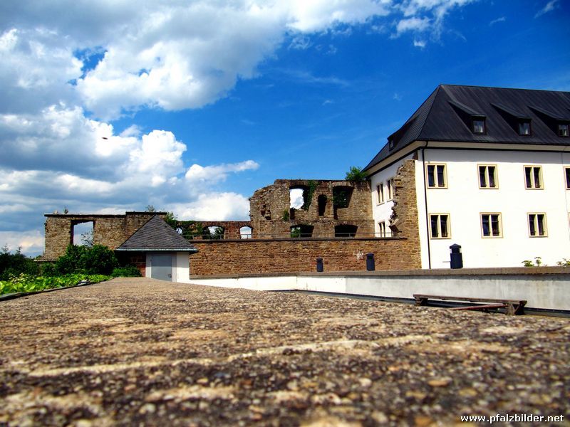 Burg Altleiningen~003