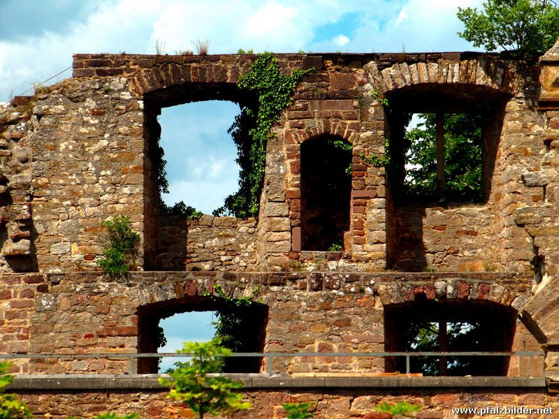 Burg Altleiningen~007