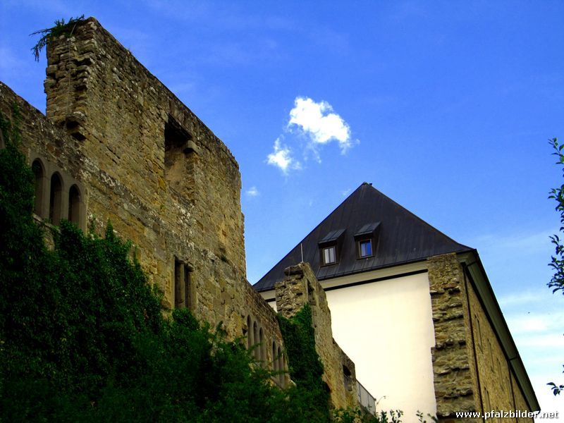 Burg Altleiningen~011