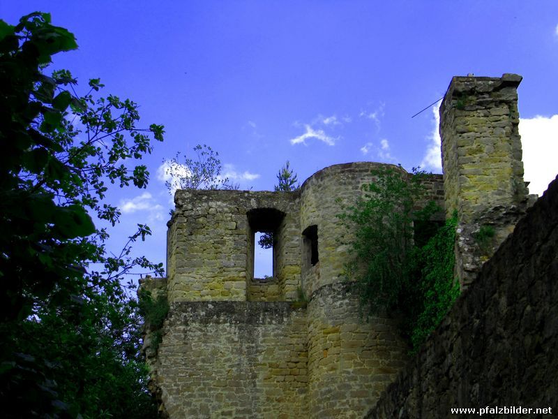 Burg Altleiningen~013