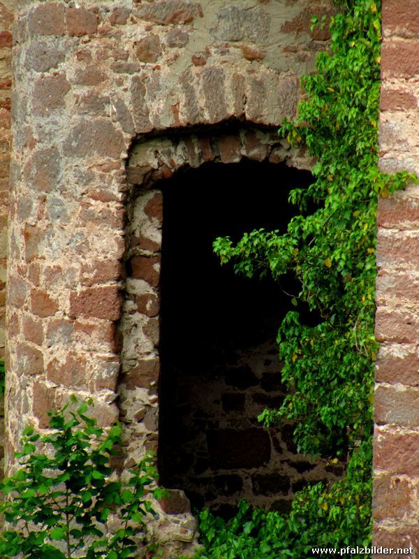 Burg Altleiningen~014