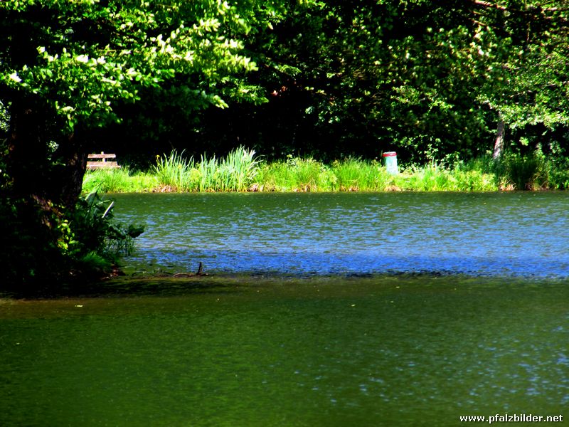 Helmbachweiher 004