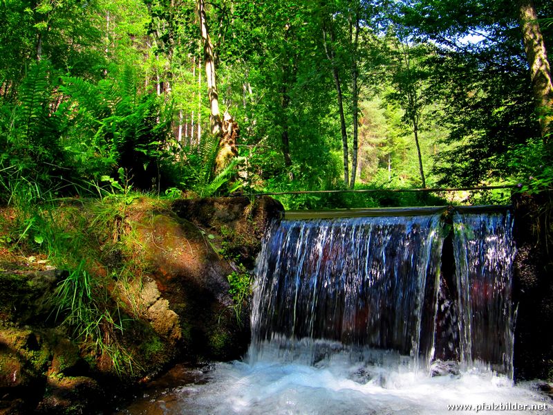 Helmbachweiher 008