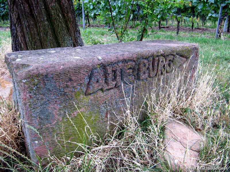 Burg Gimmeldingen 001