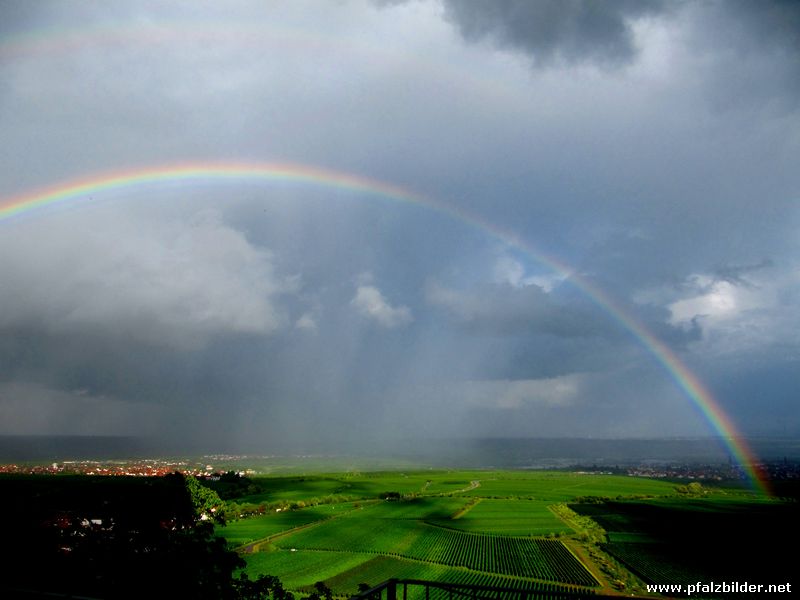 Kropsburg Regenbogen~003