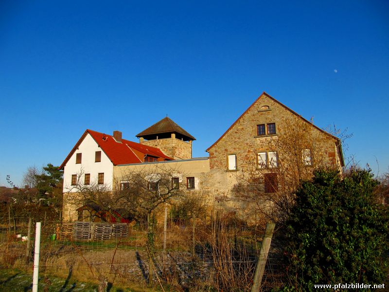 Wasserburg Friedelsheim~003