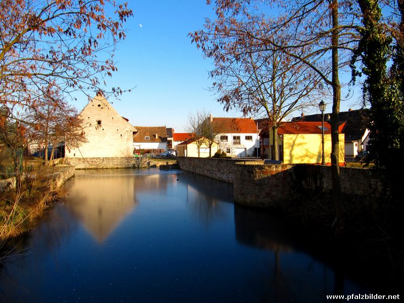 Wasserburg Friedelsheim~005