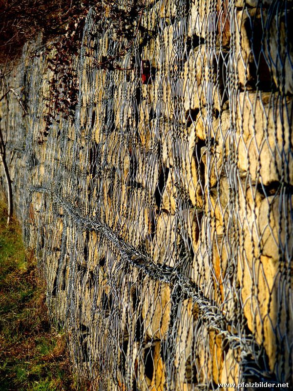 Burg Gimmeldingen~001