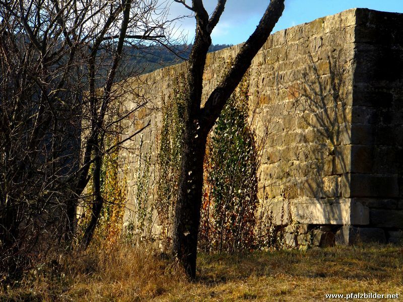 Burg Gimmeldingen~002