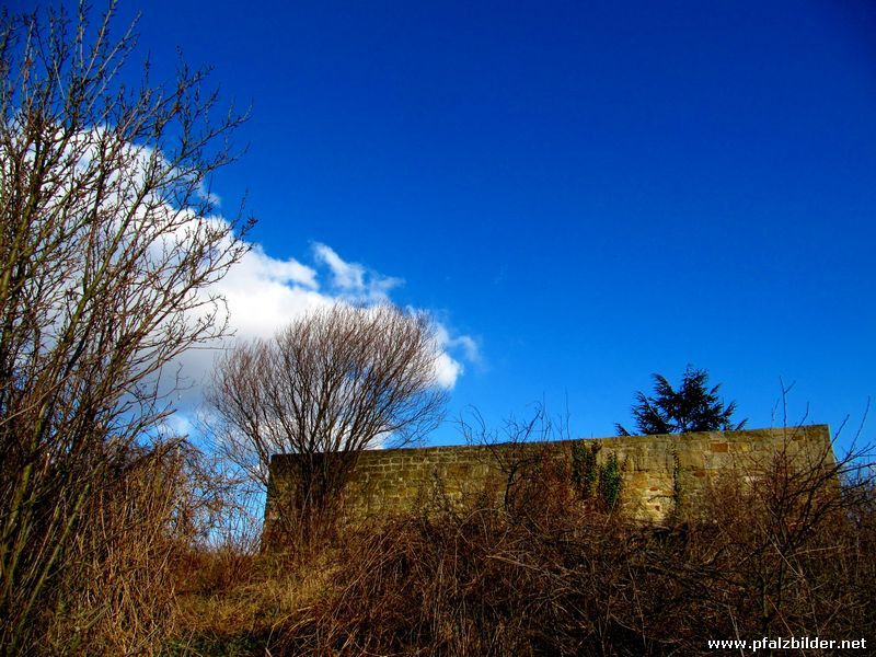 Burg Gimmeldingen~003