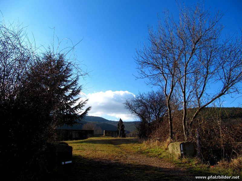 Burg Gimmeldingen~005