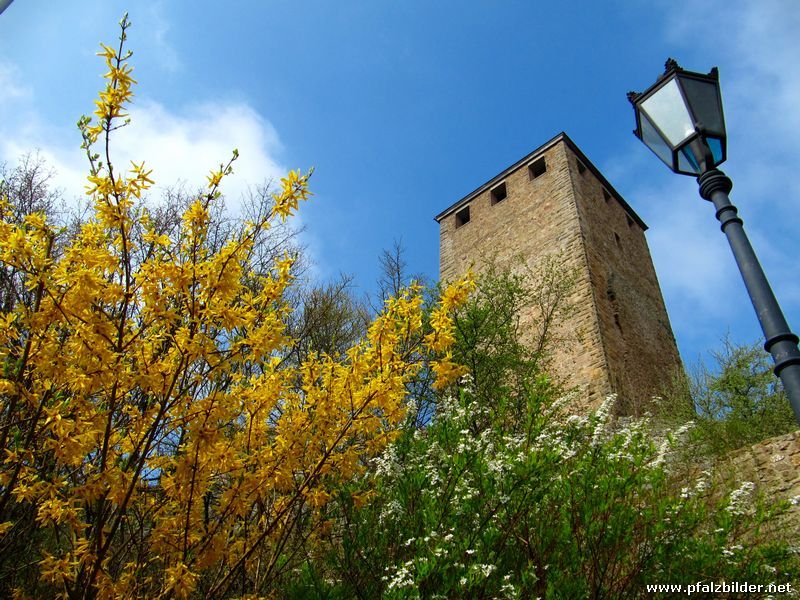 Burg Lichtenberg~006