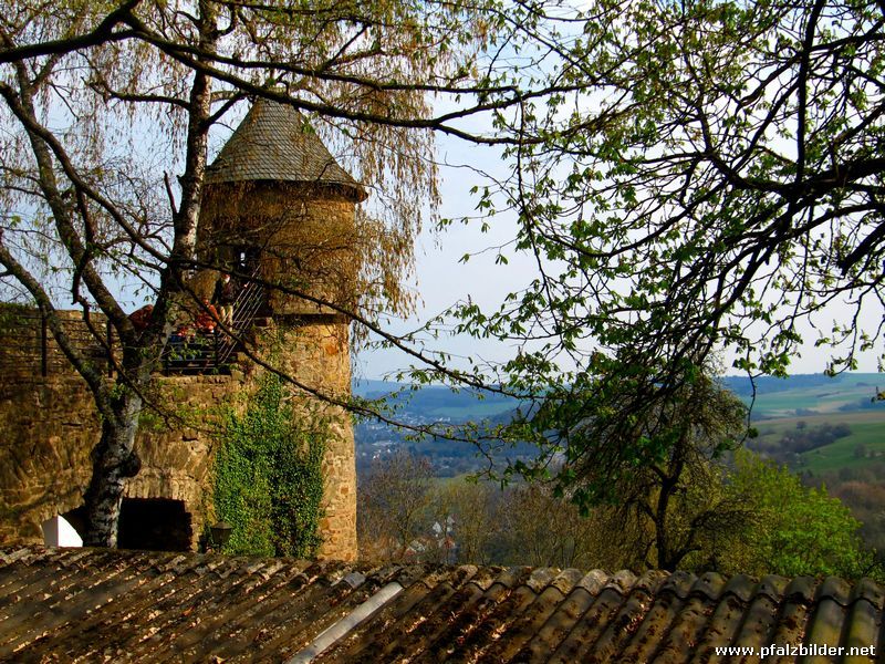 Burg Lichtenberg~013