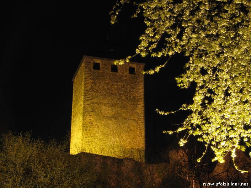 Burg Lichtenberg~005