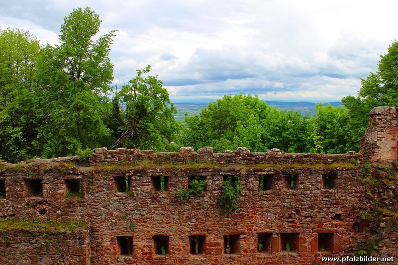 Chateau du Haut Barr~007