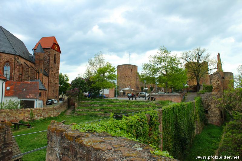 Burg Neuleiningen~008