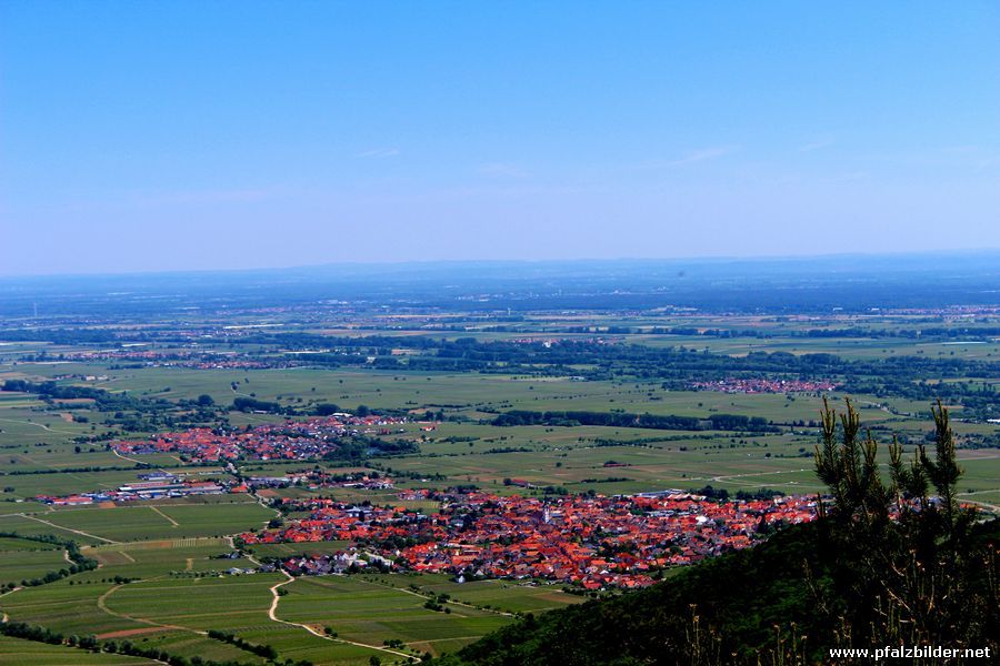 Taubenkopf~004