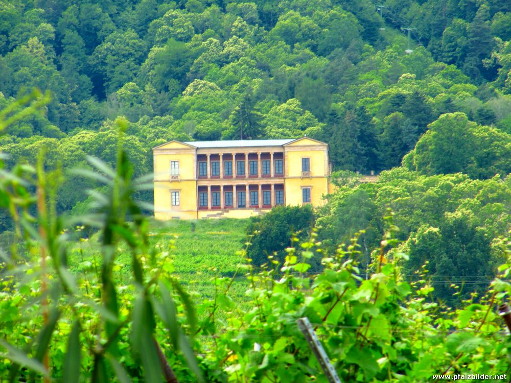 Villa Ludwigshoehe~002