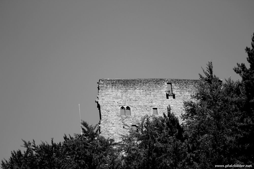 Burg Spangenberg~005