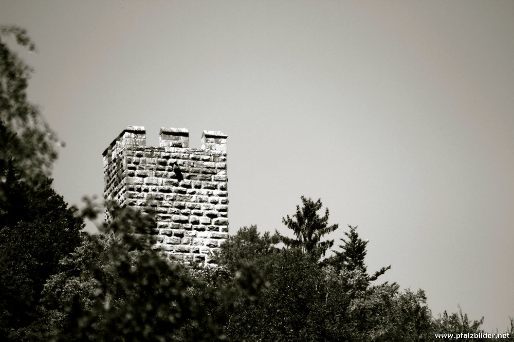 Burg Erfenstein~002