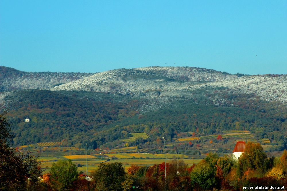 Vorderpfalz erster Schnee 2012~001