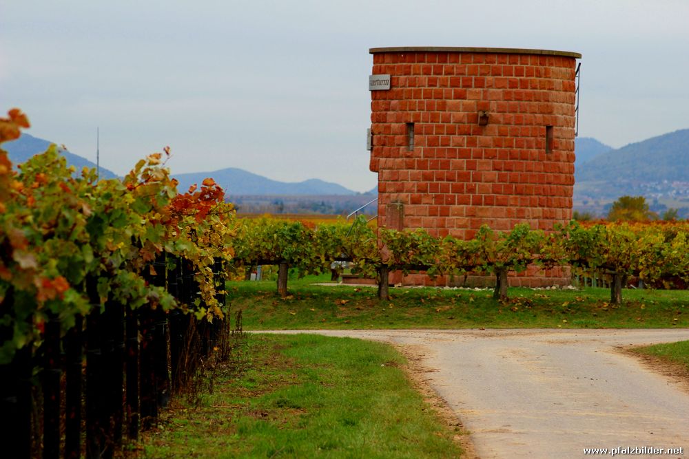 Winzerturm Hochstadt~001