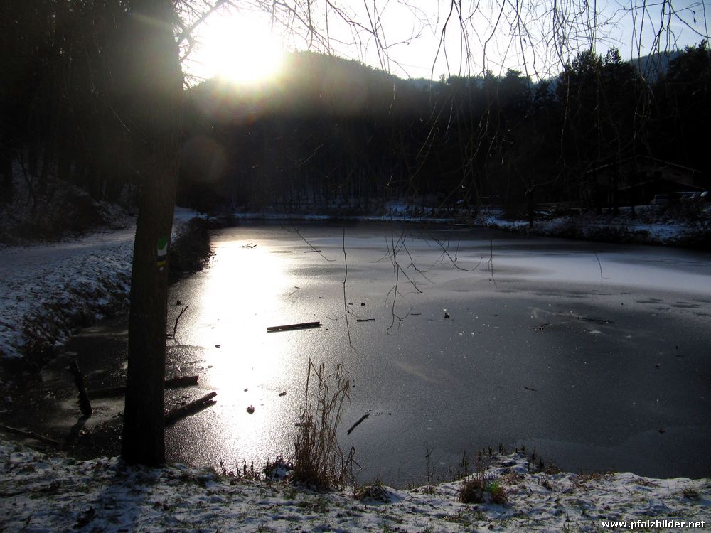 Paddelweiher Hauenstein~002