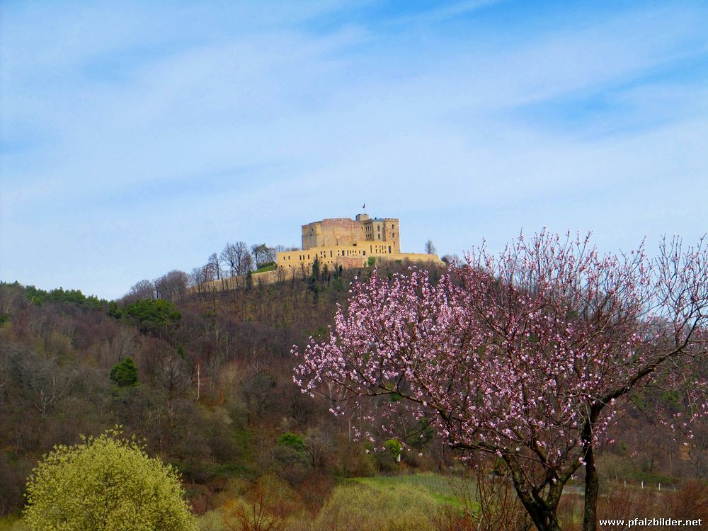 Hambacher Schloss~001