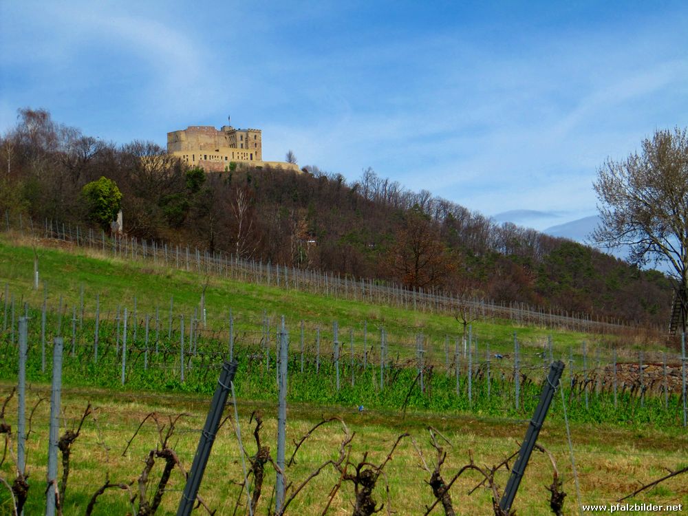 Hambacher Schloss~002