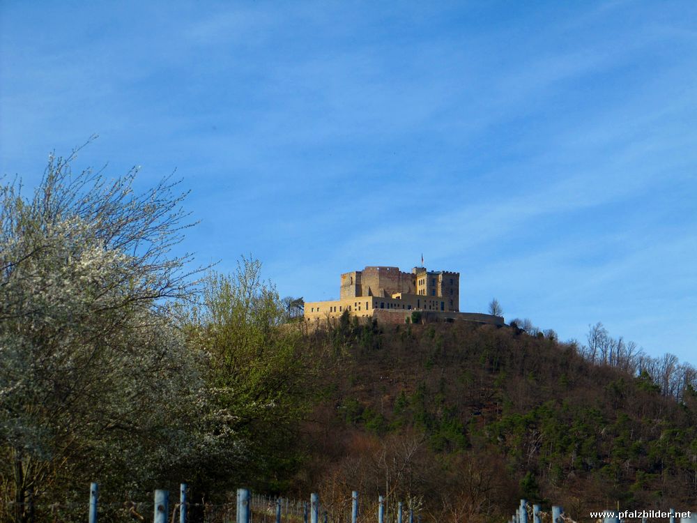 Hambacher Schloss~003