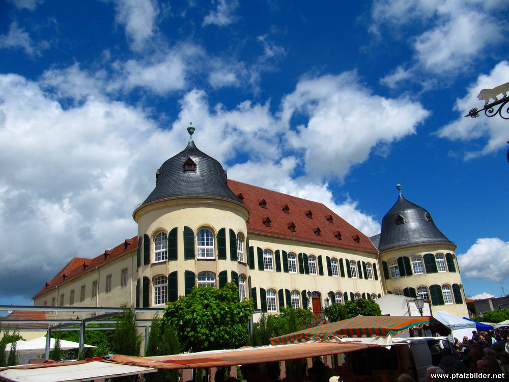 Schloss Bad Bergzabern~001