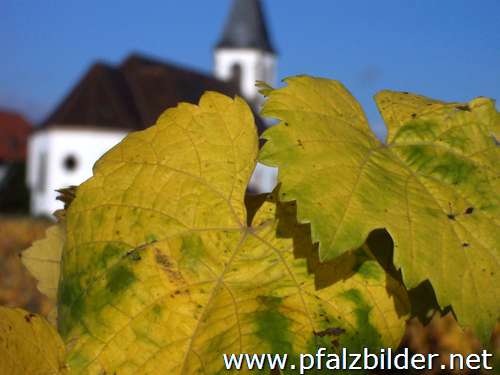 005~Herbstwingert-2005