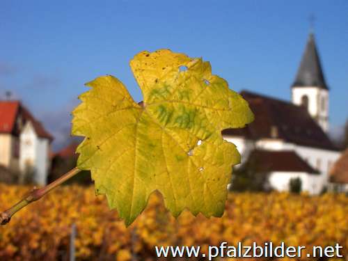 007~Herbstwingert-2005