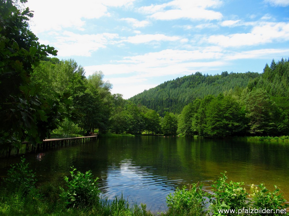 Helmbachweiher~004