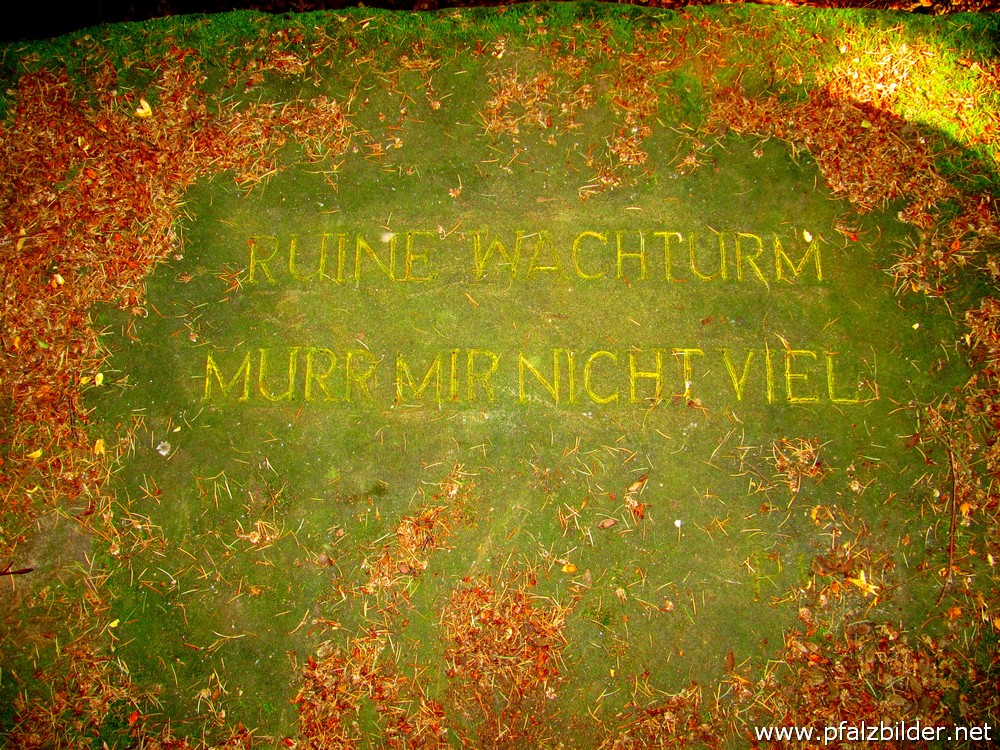 MurrMirNichtViel~003