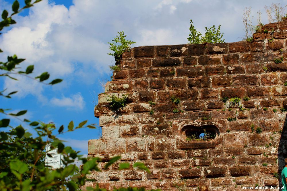 Burg Fleckenstein~002