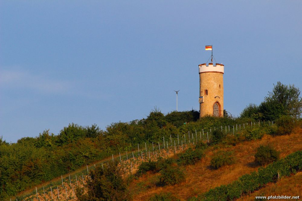 Wartturm Albisheim~001