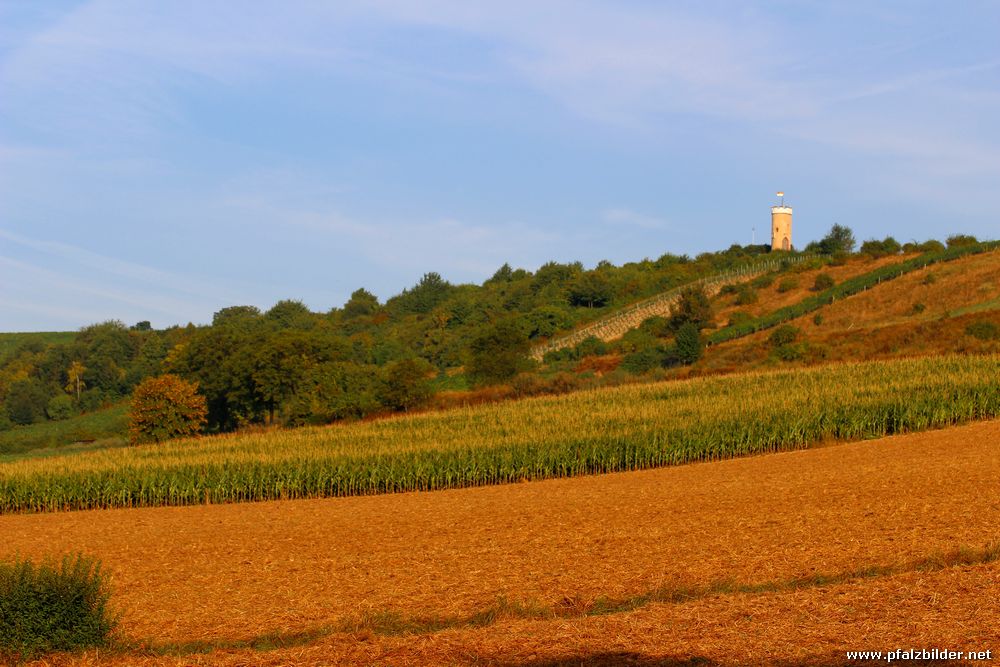 Wartturm Albisheim~002