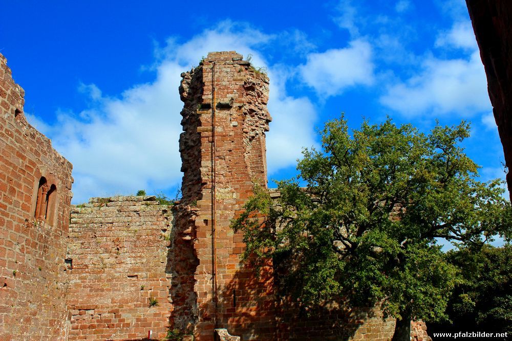 Burg Hohenecken~008