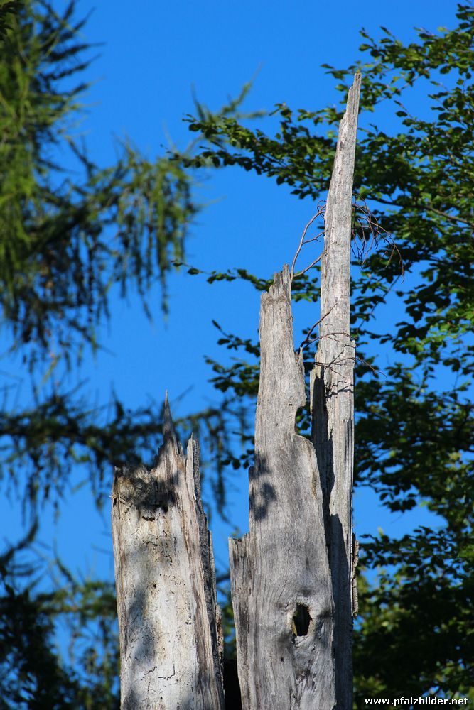 Ruine Beilstein KL~010