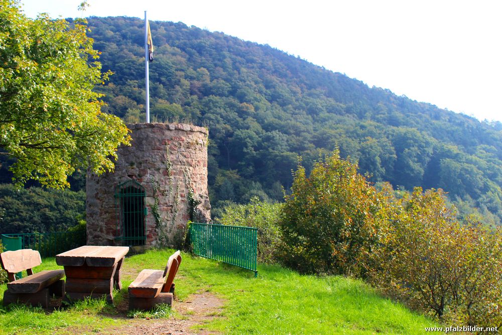 Burg Falkenstein~005