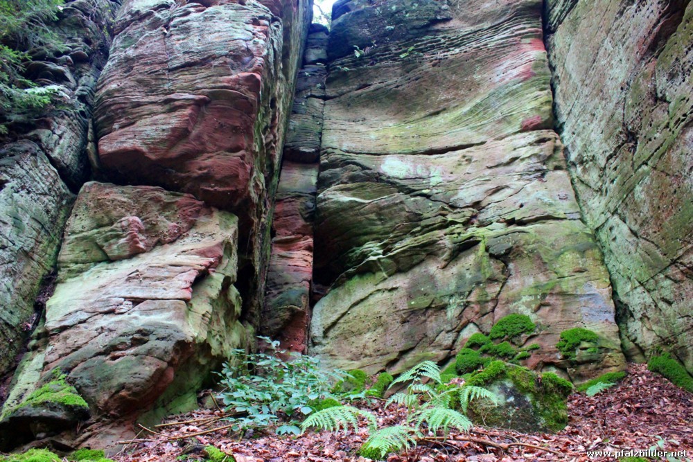 Schafsfelsen Erfweiler~003