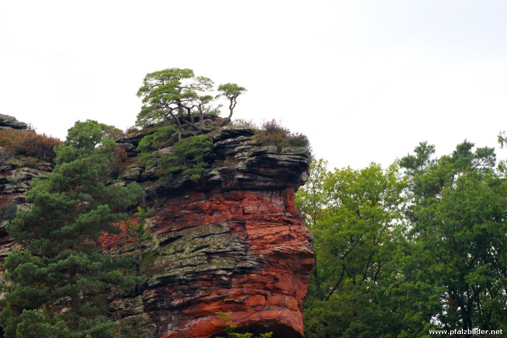 Hebelfels Erfweiler~003