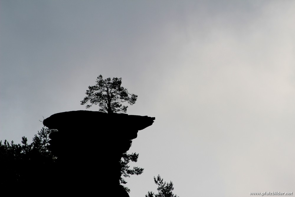 Dreikoenigsfelsen Hinterweidenthal~001