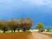 Roedersheim Feld~007